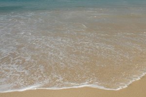 Muchos campamentos en la isla Edisto tienen vista directa a la playa.