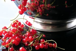 El aceite de grosellas negras y la salud.