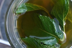 Hierve a fuego lento hojas de menta fresca o desecadas para hacer el té de menta.