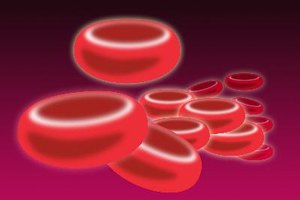 La producción de glóbulos rojos disminuye si tienes una deficiencia de hierro.