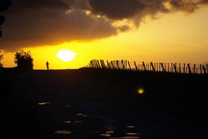 Compra la mejor luz para la bicicleta de montaña para tus necesidades.