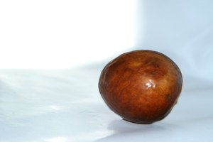 La semilla de un aguacate puede tener propiedades anticancerígenas.
