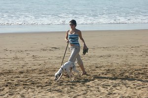 Disfruta de entrenar en la playa con tu perro con una correa.