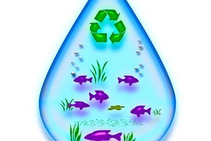 El reciclaje ayuda a proteger los ecosistemas.
