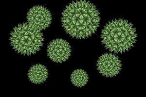 La culebrilla es la reactivación de una infección previa con el virus varicela-zóster.