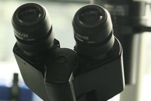 La respiración aeróbica sólo se puede ver a través de un microscopio de alto poder.