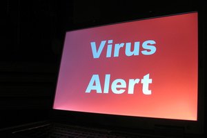 Los virus informáticos infectan con frecuencia Internet Explorer.