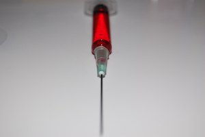 Un análisis de sangre es posible y puede verificar los niveles hormonales, la prueba no siempre es exacta o práctica, y los falsos positivos son comunes, especialmente en camadas pequeñas.