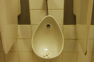 Problemas urinarios.