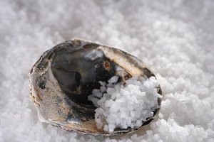 Los minerales que se encuentran dentro de la sal benefician al cuerpo.