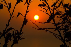 Si tienes áreas hiperpigmentadas por el acné mantente alejado del sol.