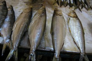 Es importante saber cuál es el tipo de pescado utilizado para producir el aceite.
