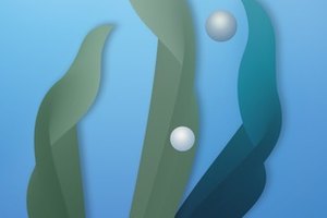 El kelp ofrece una variedad de beneficios para la salud.