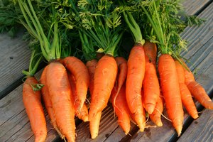El aceite de semillas de zanahoria es un útil agente fungicida y antiséptico.