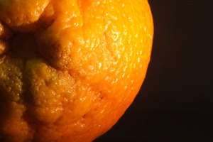 La cáscara de naranja es rica en antioxidantes que ayudan a combatir las enfermedades.