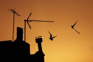 Las antenas de televisión transmiten la señal a la misma desde el cable coaxial.