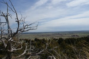 La polución del suelo acarrea problemas de hígado y riñones.