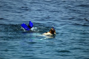 Los ejercicios de respiración de la marina mejoran el rendimiento del buceo libre.