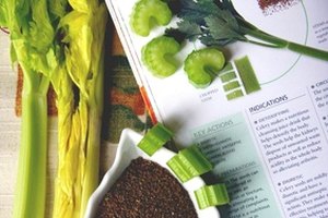 La semilla de apio es un remedio herbal utilizado como diurético y para tratar el padecimiento de gota.