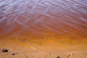 El agua contaminada puede transmitir parásitos.