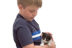 Las mascotas no son activos biológicos