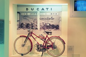 Las bicicletas híbridas ofrecen versatilidad para uso en la ciudad o en caminos rústicos.