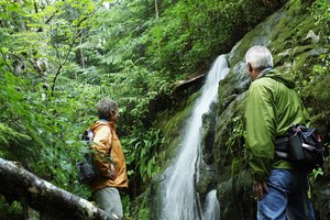 Los paisajes exuberantes de la Columbia Británica atraen a los excursionistas.