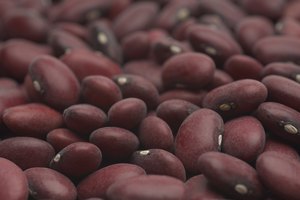 Frijoles rojos.