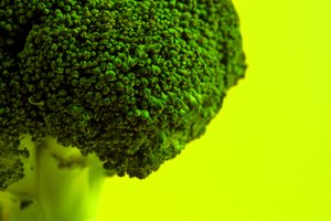 La mitad de un melón blanco es equivalente a 38 calorías, mientras que el tallo de un brócoli crudo es equivalente aproximadamente a 51 calorías.