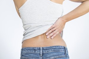 Los riñones están localizados cerca de la parte posterior del cuerpo.