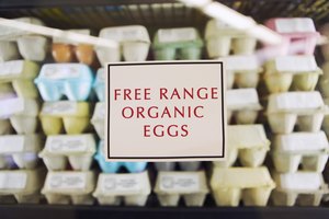 Los huevos son ricos en nutrientes y contienen proteínas de alta calidad.