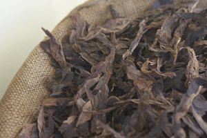 El uso de tabaco masticable y de tabaco sin humo aumenta el riesgo de padecer cáncer de boca.