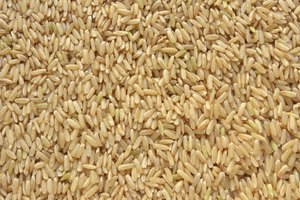 Los carbohidratos son importantes fuentes de vitaminas, minerales, antioxidantes y fibra.