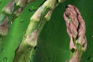 Los espárragos también son ricos en vitaminas y minerales.