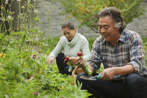 Trabaja en tu jardín para hacer un ejercicio de intensidad moderada.