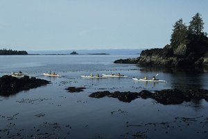 Los tours en kayak están disponibles dentro y en los alrededores de Victoria, Canadá.