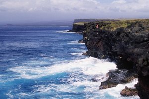 El pescado monchong se recolecta de las aguas profundas de Hawai.