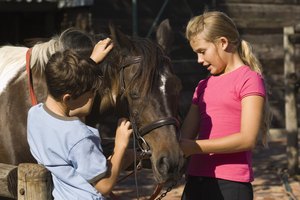 Louisville ofrece varias opciones a los niños para interactuar con caballos.