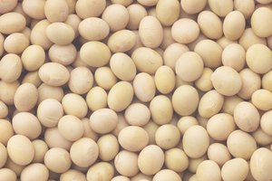 Los garbanzos son una causa común de gases y cólicos estomacales en algunas personas.