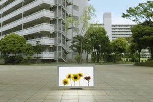 Comprueba la conexión de vídeo de cualquier dispositivo conectado al televisor LCD.