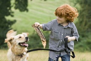 Jugar al aire libre es una manera efectiva para que los niños aprendan sobre las plantas y los animales.