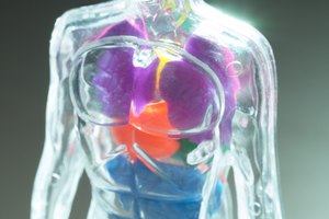 El adenocarcinoma es un tipo de cáncer que se inicia en muchos órganos diferentes.
