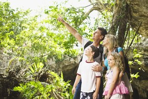 Tu niño puede desarrollar y perfeccionar habilidades de observación con la práctica.