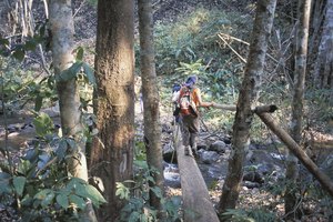 Una caminata ligera significa llevar sólo lo esencial, lo que te permite caminar más lejos con mayor comodidad.