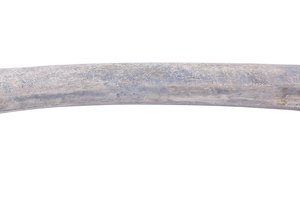 Los huesos compactos contienen diminutas capas cilíndricas que rodean los vasos sanguíneos, permitiendo el ingreso de oxígeno y nutrientes a las células.