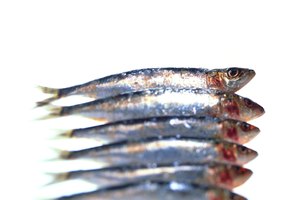Las sardinas aportan grasas sanas y proteínas.