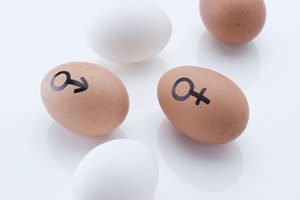 Los niveles de estrógeno varían durante la vida, tanto en hombres como en mujeres.
