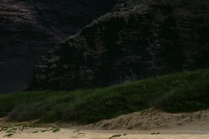 Disfruta un tiempo de playa en Kalapaki Beach en Nawiliwili Bay.