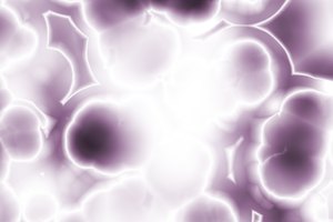 El Enterococcus faecalis es un tipo de bacteria anaerobia conocida como cocos.