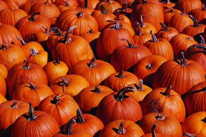 Al igual que la calabaza fresca, la enlatada tiene una gran cantidad de nutrientes.